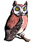 Owl